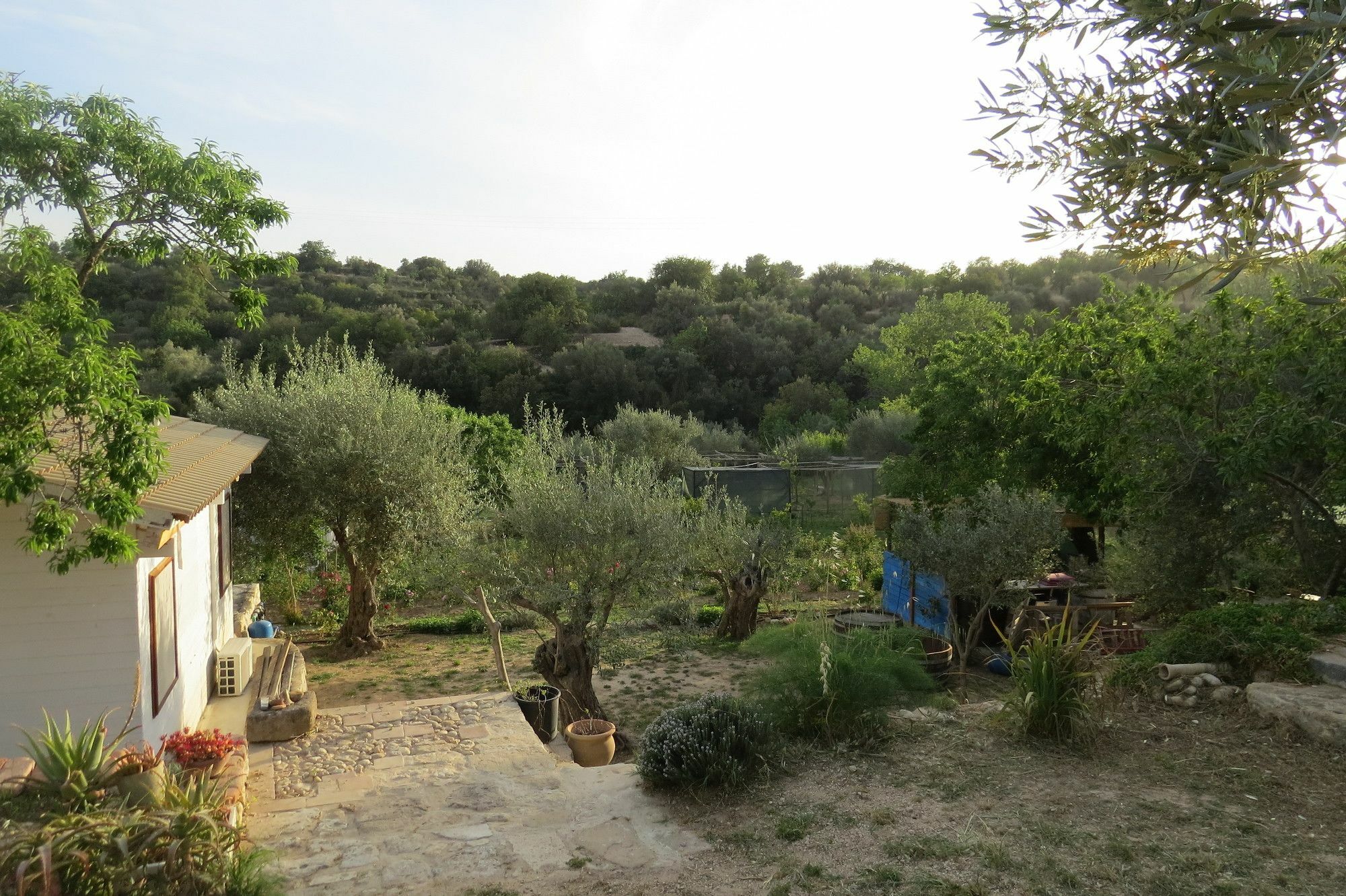 Camping Fiori Di 诺托 外观 照片