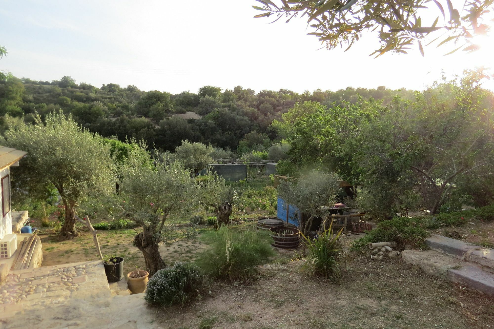 Camping Fiori Di 诺托 外观 照片