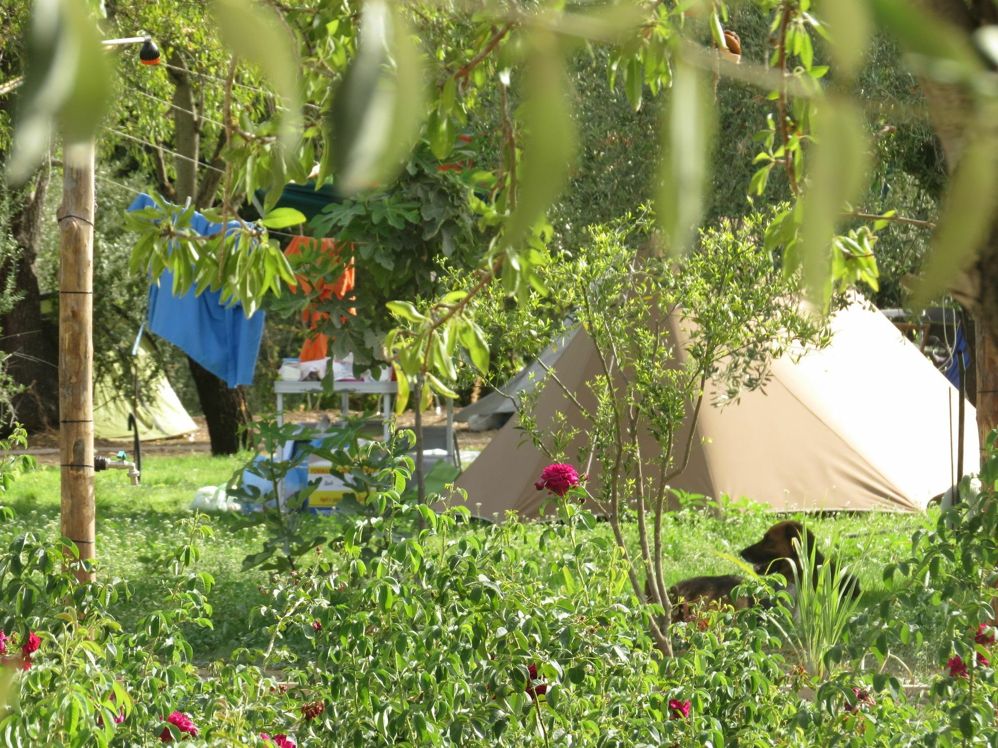 Camping Fiori Di 诺托 外观 照片