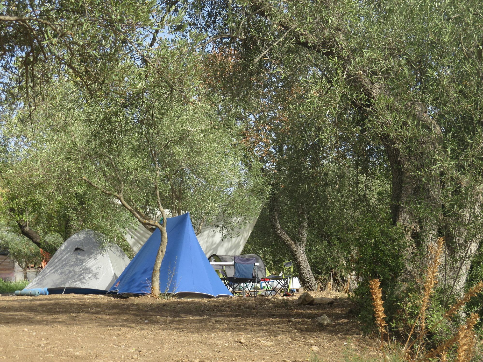 Camping Fiori Di Noto酒店 外观 照片